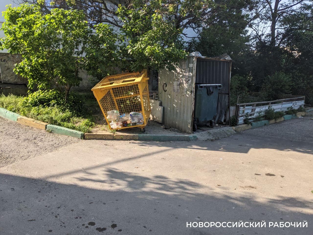 Желтые контейнеры для пластика стали пропадать в Новороссийске