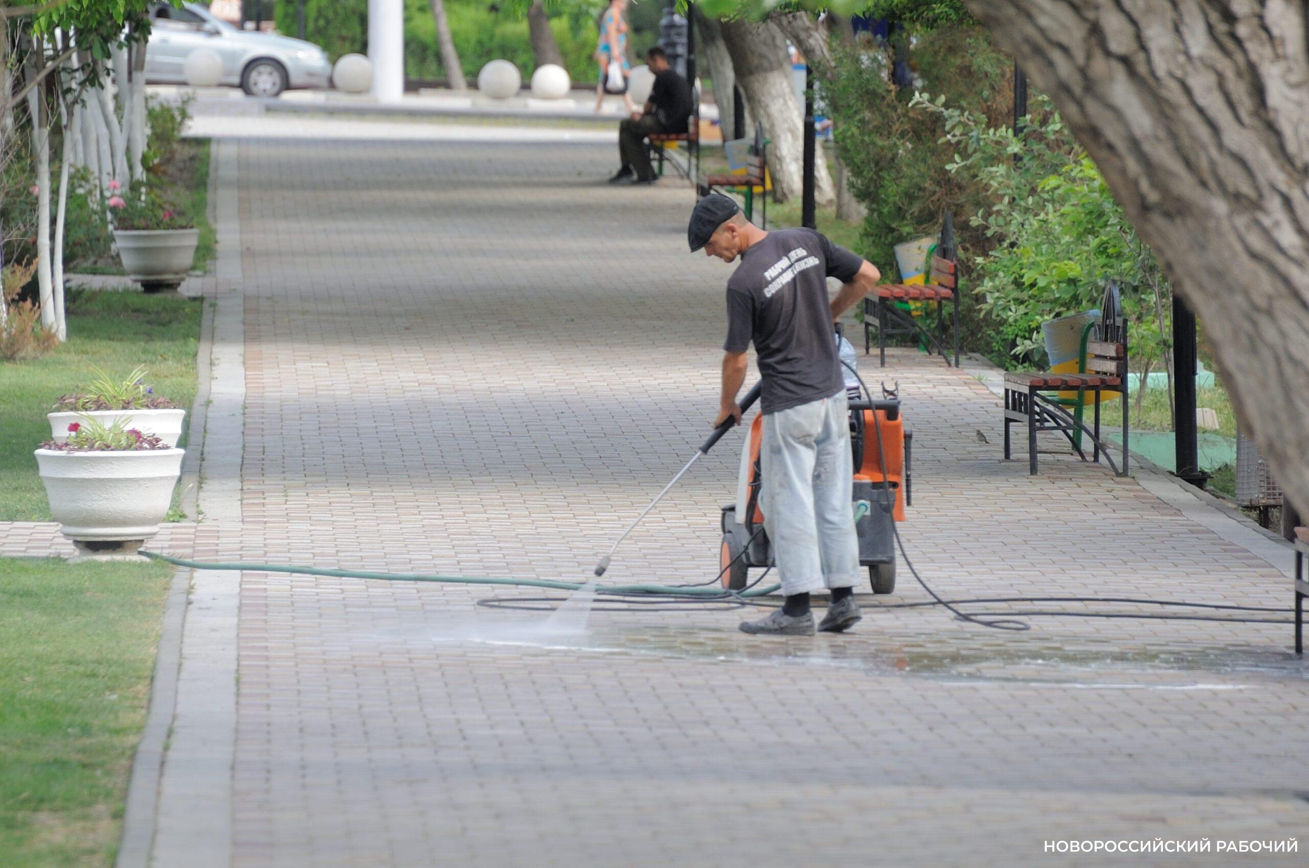 В Новороссийске идёт борьба с вредителями. Уже «зачистили» 56 гектаров