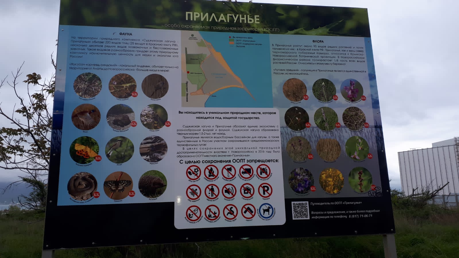Оставили след: школьники исписали щит на Особо охраняемой природной территории Новороссийска
