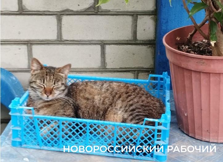 О заботе, жуках и безопасности пищевых продуктов: советы дня от «НР»