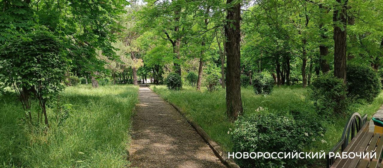 Жителей Новороссийска второй раз позвали проектировать Октябрьскую площадь