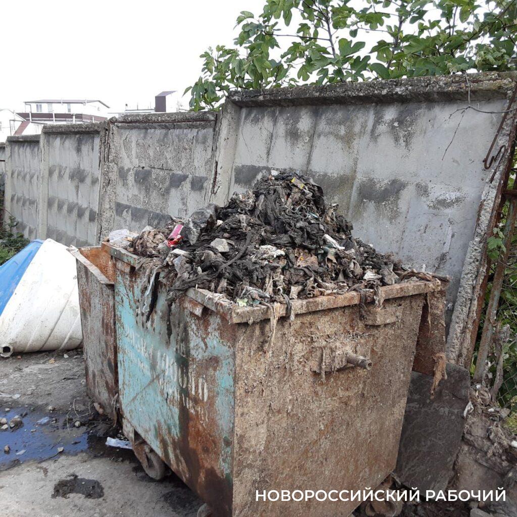 Канализационные ароматы не дают спокойно жить жителям спальных микрорайонов  Новороссийска – Новости Новороссийска