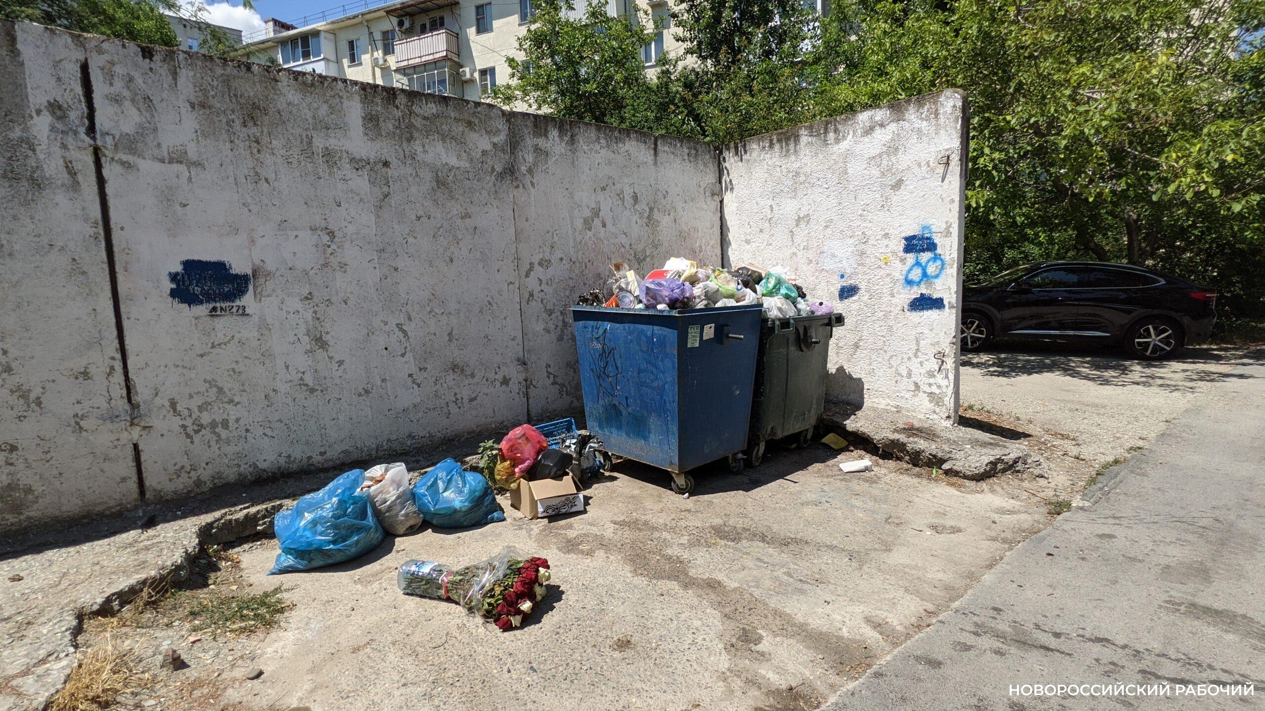 Почему в Новороссийске так сложно разгрести мусор на площадках и что тормозит уборку