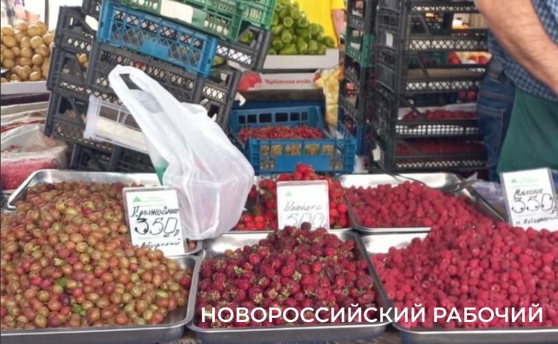 В Новороссийске началась ягодная пора. Впереди – изобилие