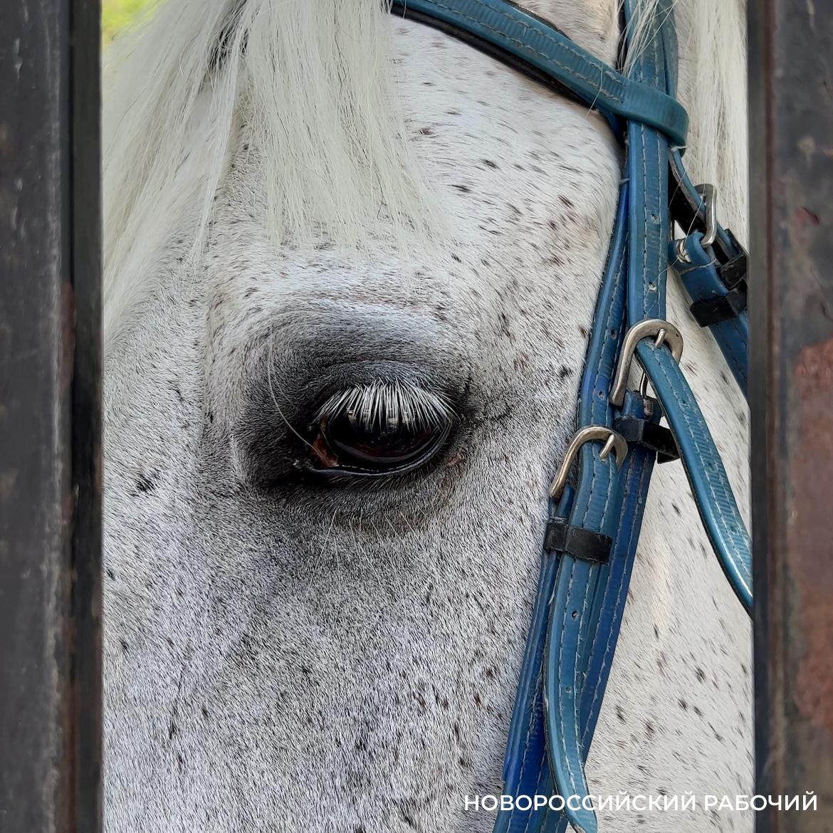 До Нового года осталось 5 дней! Какие украшения надеть в новогоднюю ночь