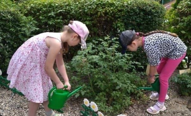 Новороссийские детсадовцы начали «городить огороды»