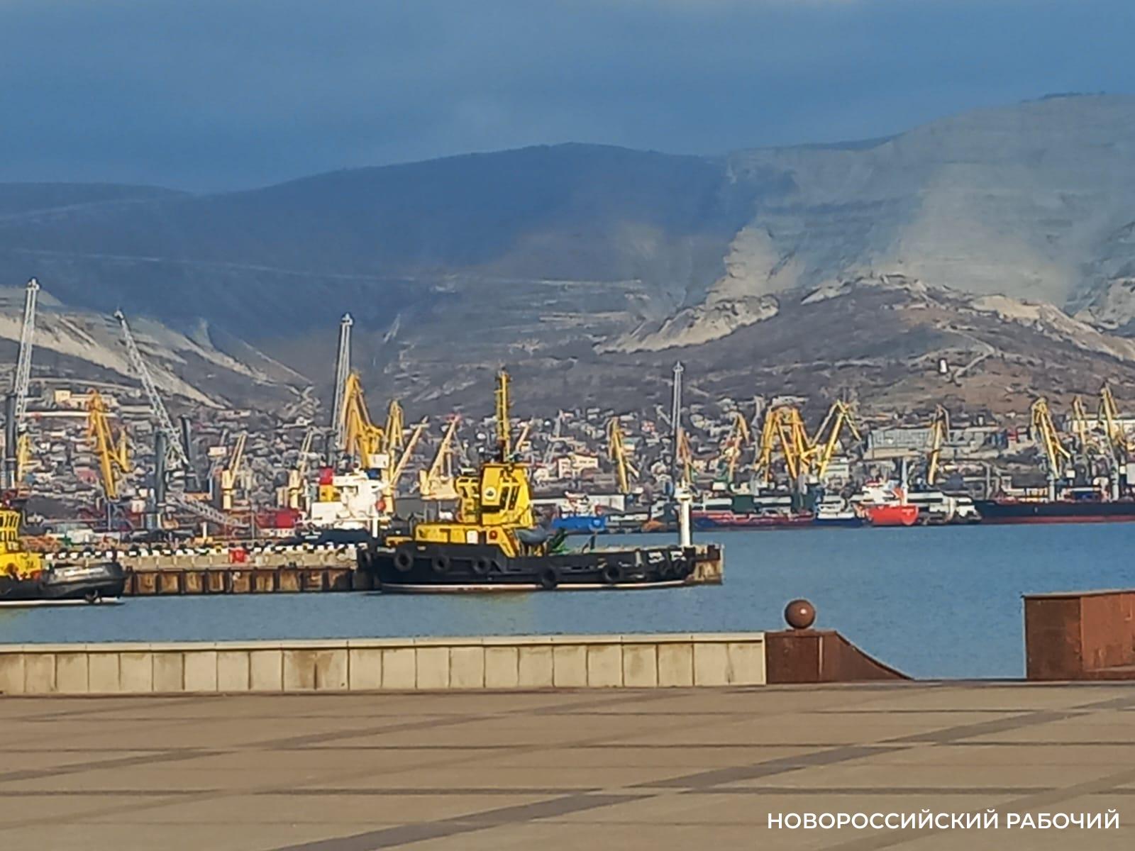 В июле в Новороссийск запустил регулярный морской сервис оператор из Дубая