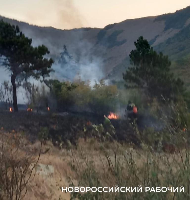 В Новороссийске дважды загоралась трава на горных склонах