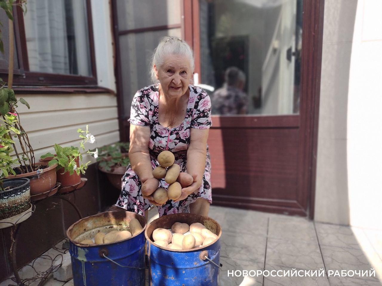 Как посадить ведро картошки, а выкопать 10. Пенсионерка из Новороссийска делится секретами