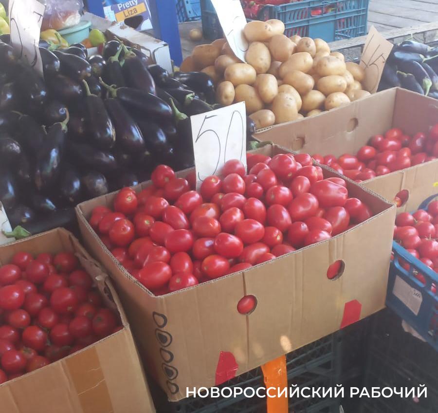 В Новороссийске огурцы консервировать дорого, а помидоры – самое время