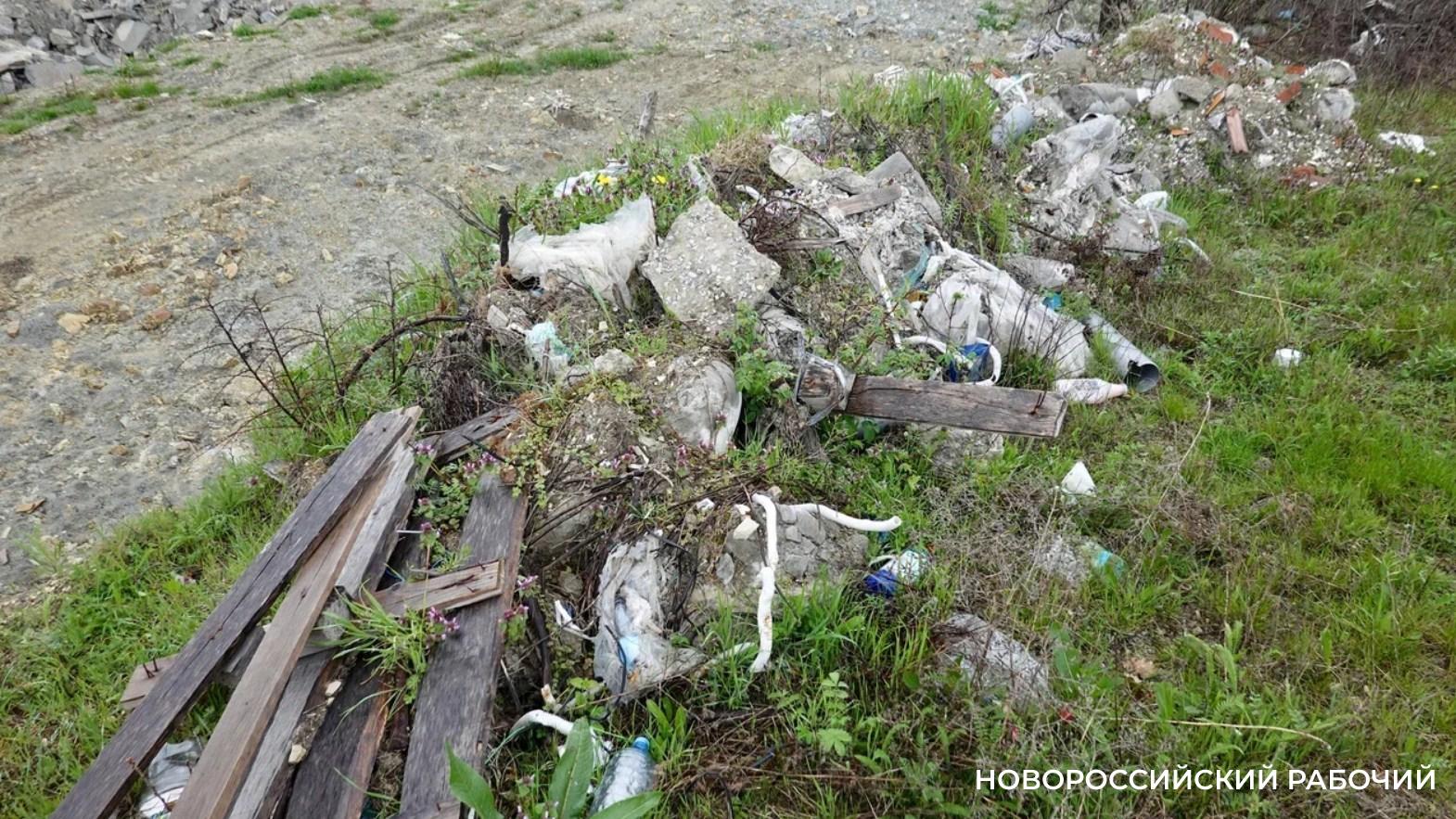 В Новороссийске отсыпают «новые территории». Ущерб природе  — 7,5 миллионов рублей