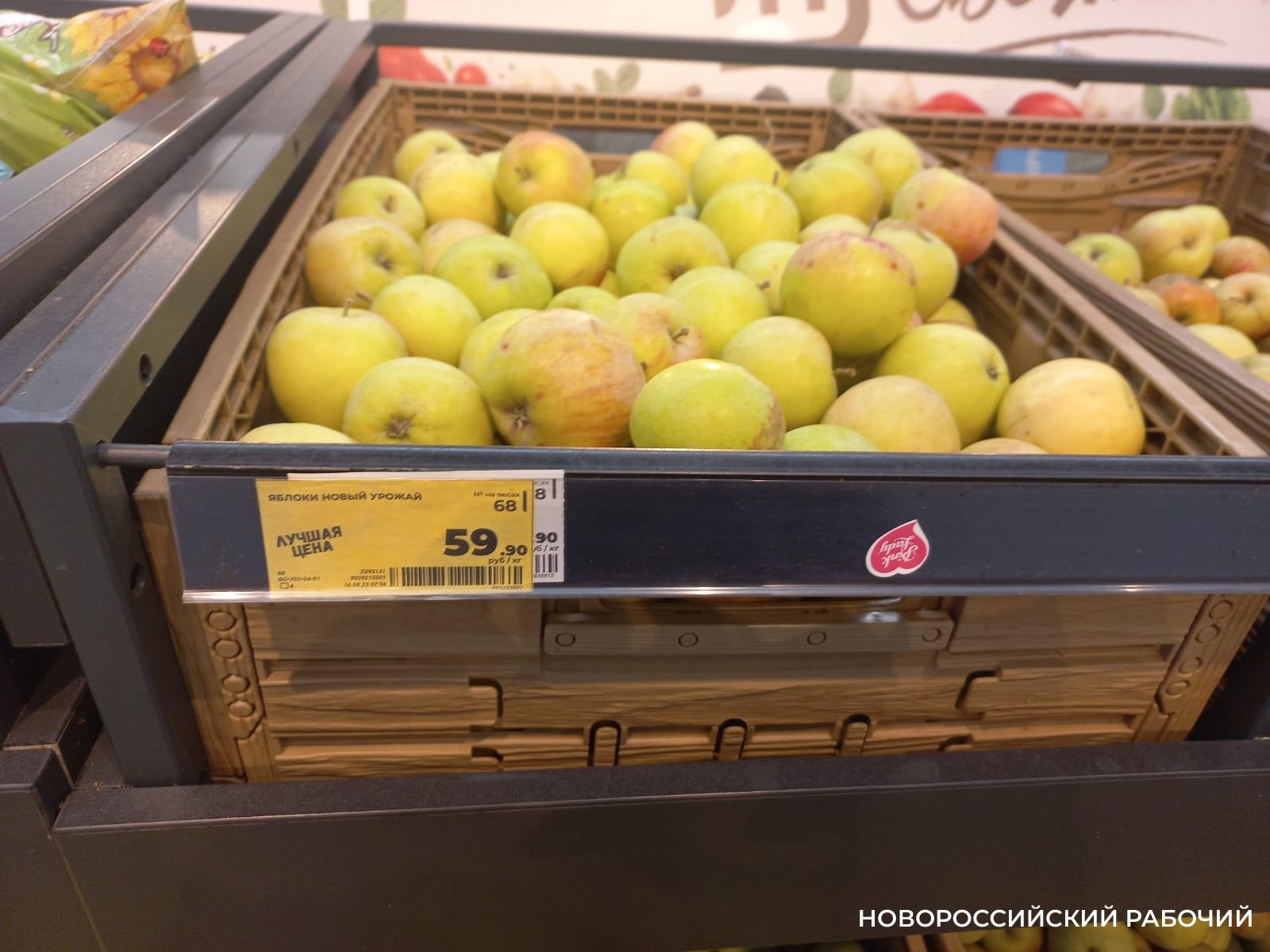 Молодые яблоки в Новороссийске всегда дорогие