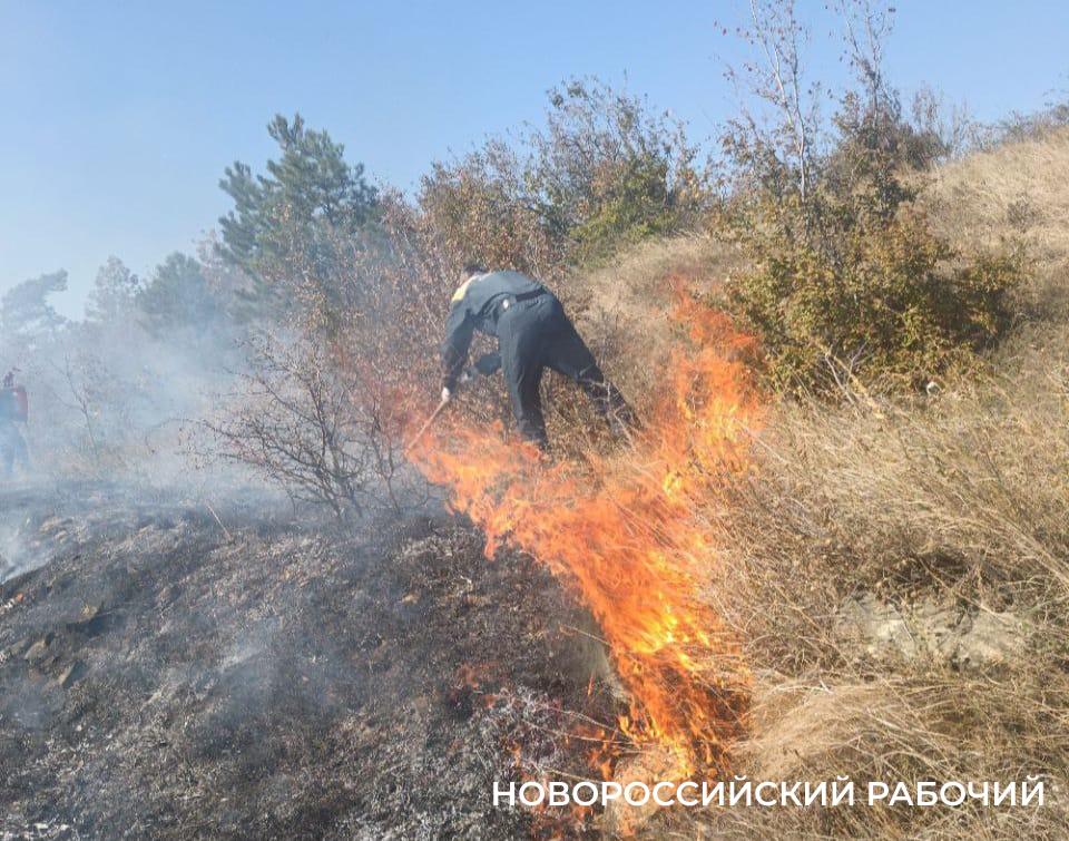 В Новороссийске тушат лесной пожар в районе «Атакайцемента»
