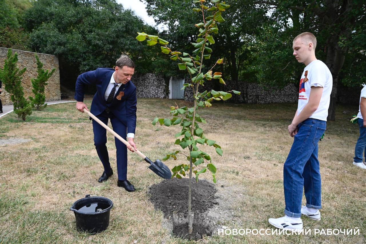 Засадим всё! В Новороссийске официально дан старт масштабному проекту «Зеленый каркас»