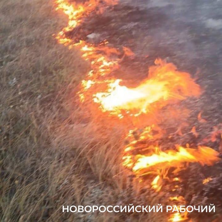 В Новороссийске на Мефодиевке огонь движется к лесу