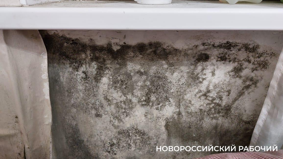 В Новороссийске разберутся, почему промокли квартиры детей-сирот
