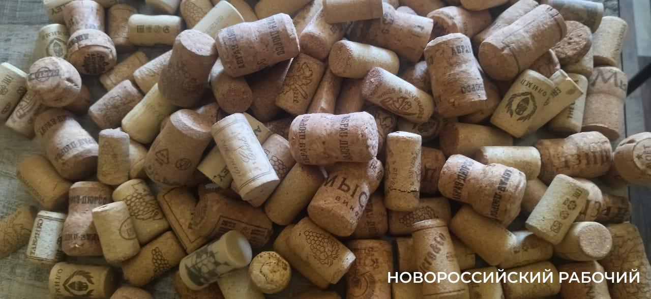 В пригороде Новороссийска начали выпускать винную пробку: откуда дубовая кора?