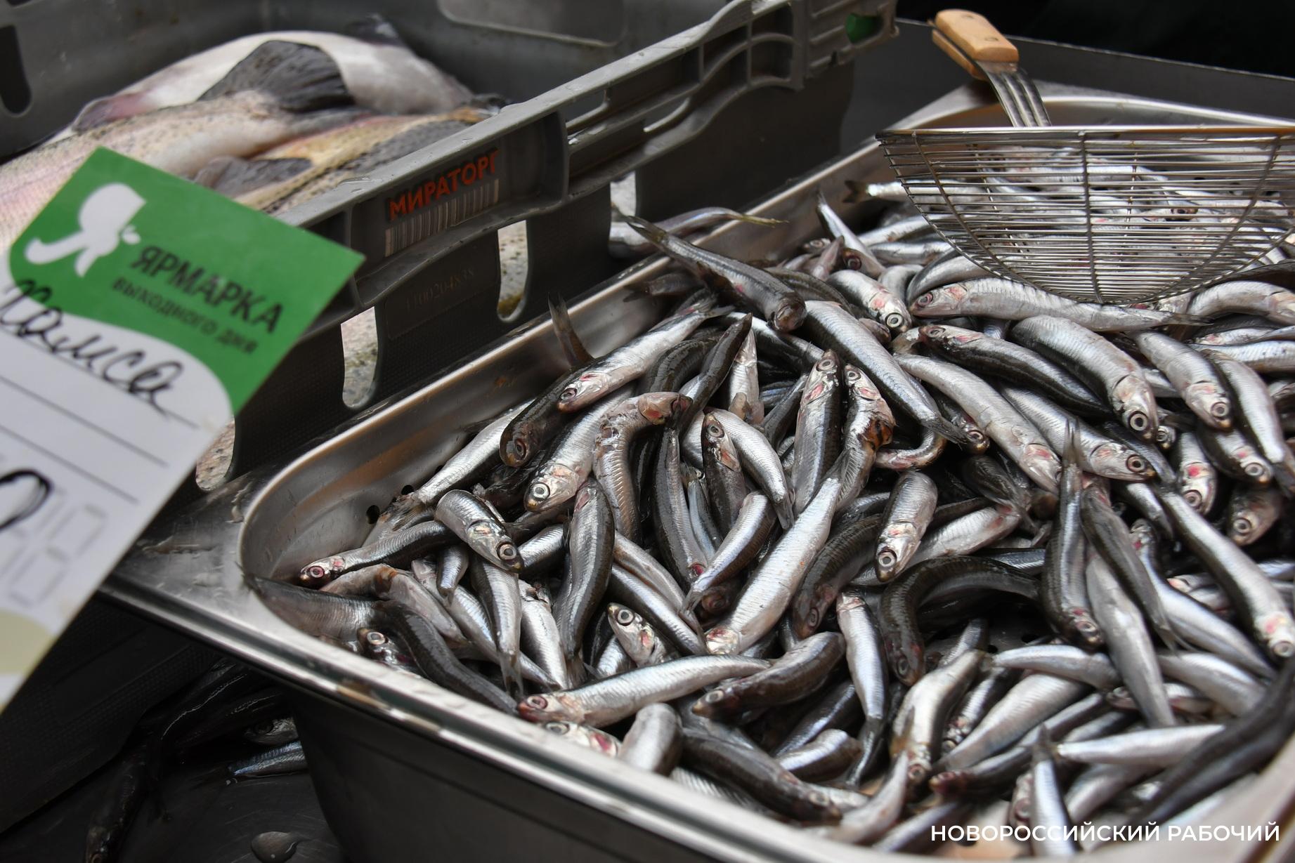 Хамса, пеленгас, камбала – на прилавках Новороссийска предлагают свежий улов