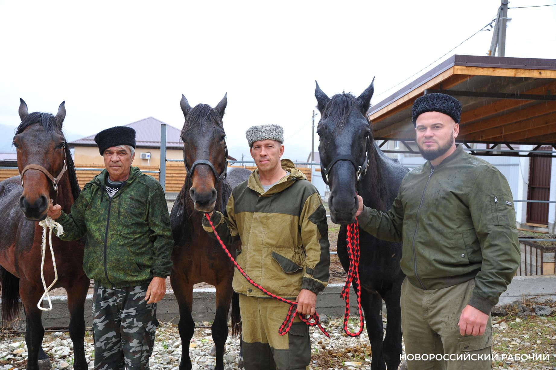 Под Новороссийском появился первый конный казачий патруль
