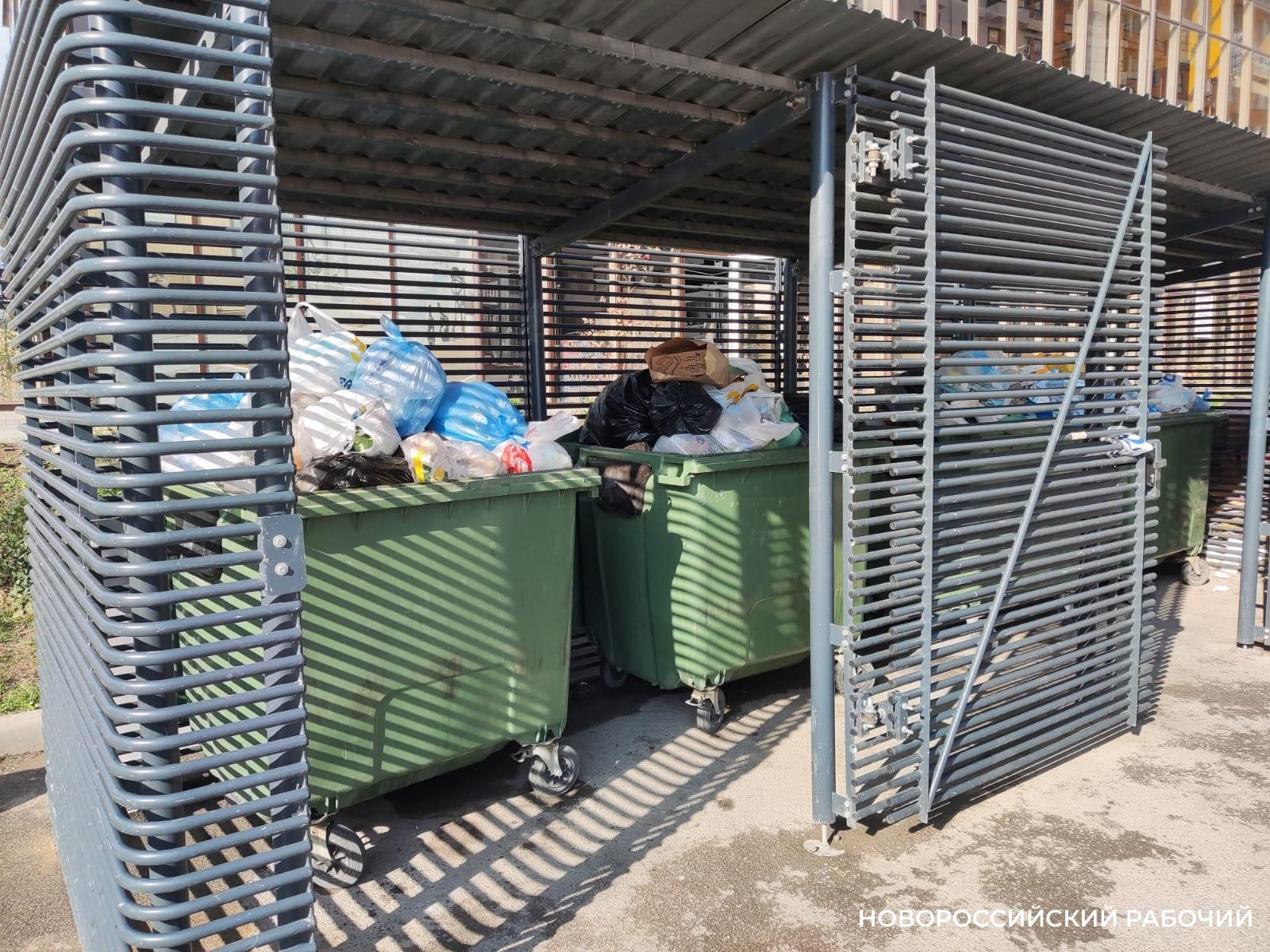В Новороссийске найдены мусорные площадки, которые соответствуют СанПиНу. Такое возможно?