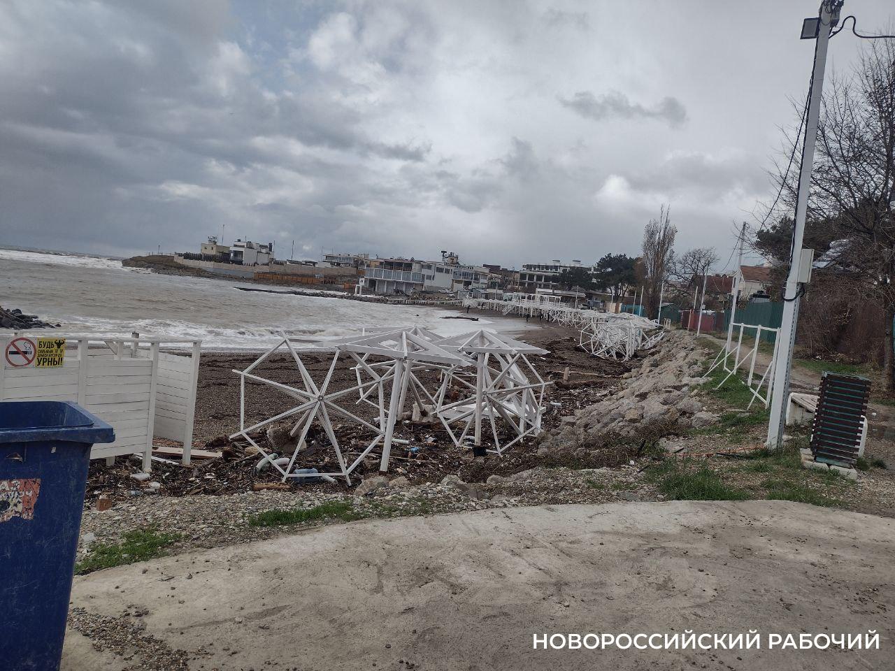 В Новороссийске после шторма школьники на берегу моря собирают устриц