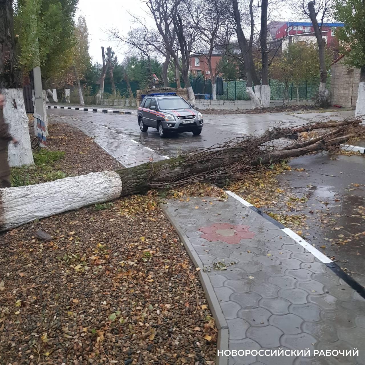 В Новороссийске ликвидируют последствия стихии во время нового циклона