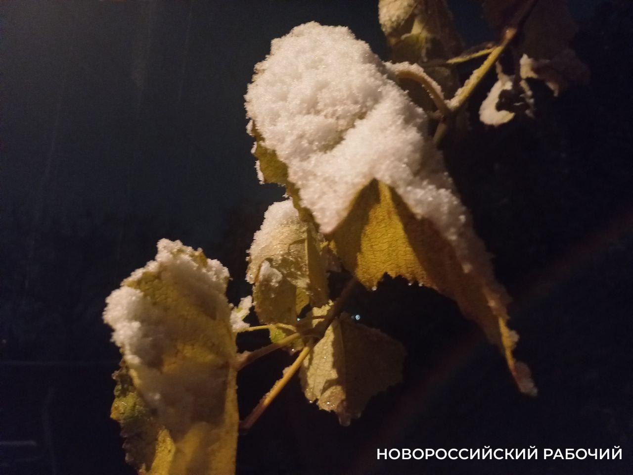 В Новороссийске выпал вечером первый снег