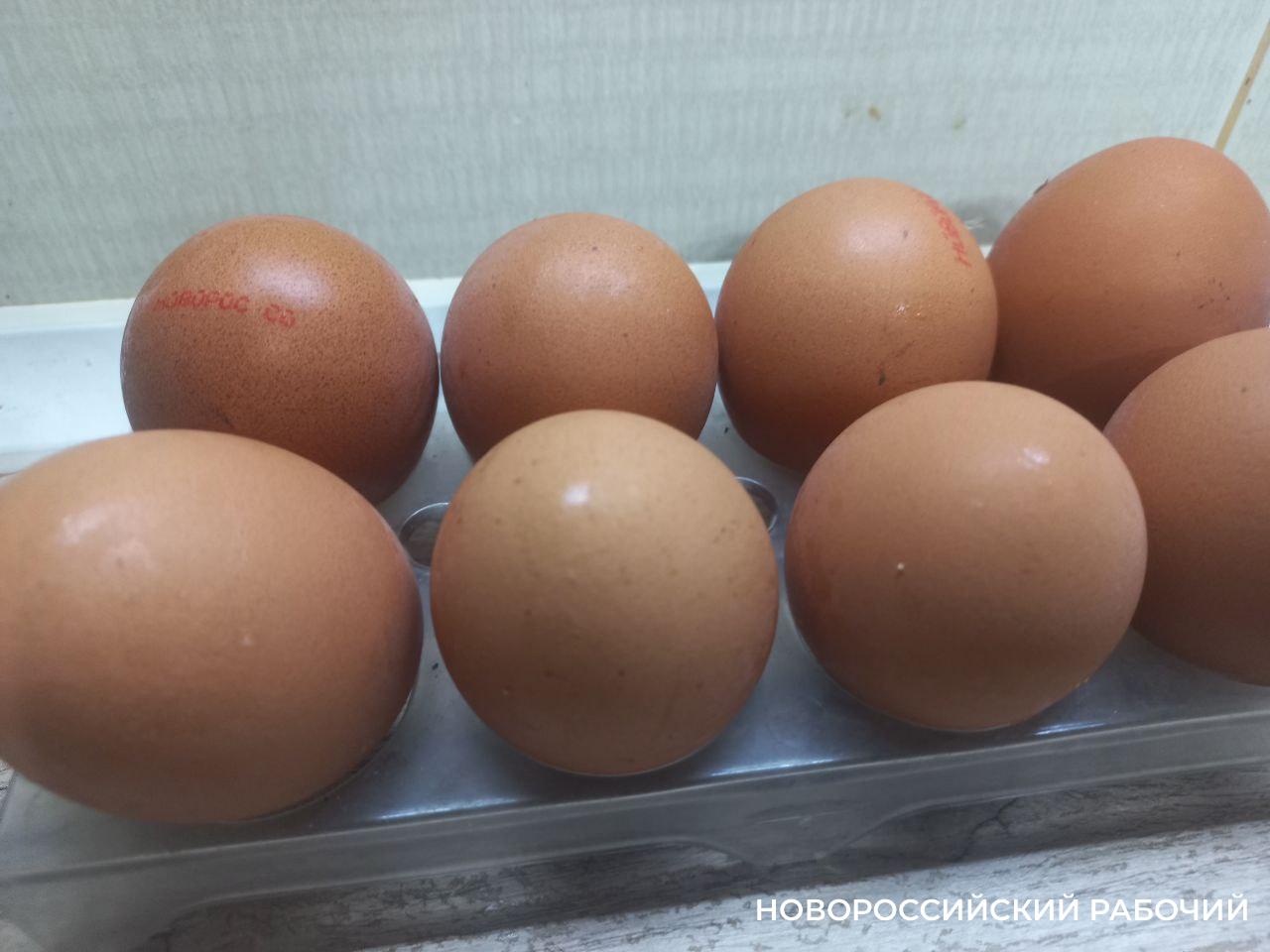 Турецкие яйца прибыли в Новороссийск
