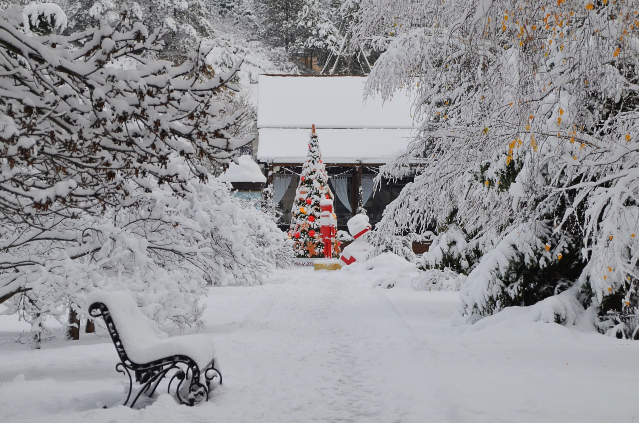 Ждать ли снега в новогоднюю ночь в Новороссийске
