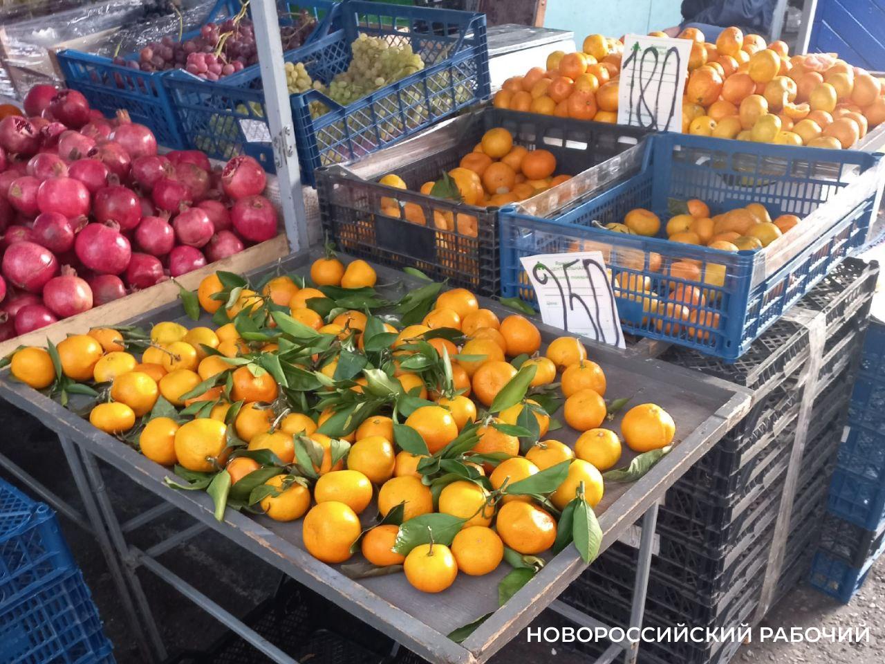 В Новороссийск только за ноябрь привезли больше 100 тыс. тонн импортных овощей-фруктов, муху-горбатку и вирус бронзовости