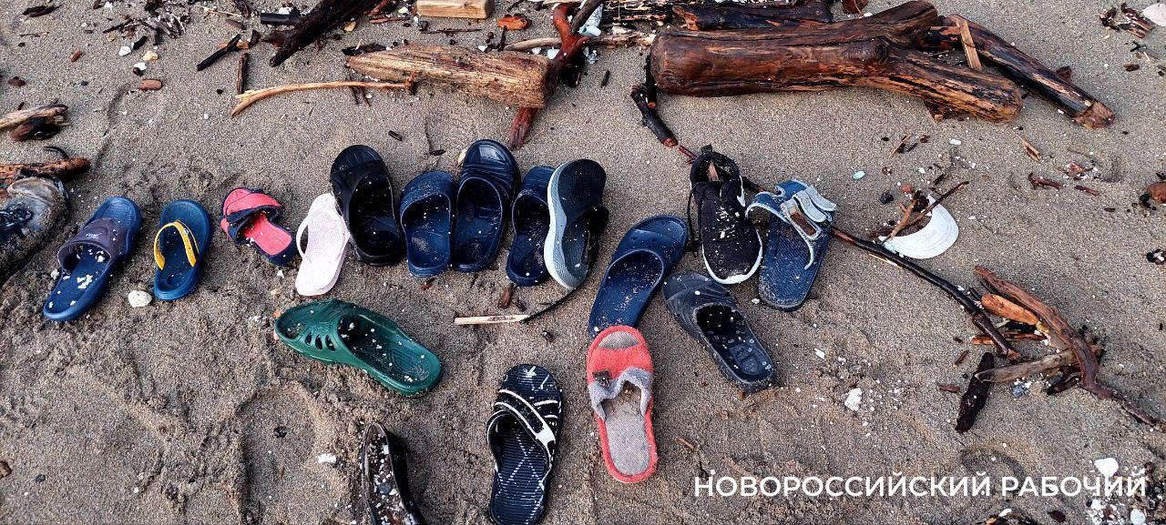 Старые шлепанцы, горы топляка,  съедобные водоросли: что выбросило на берег  Новороссийске после «шторма века»