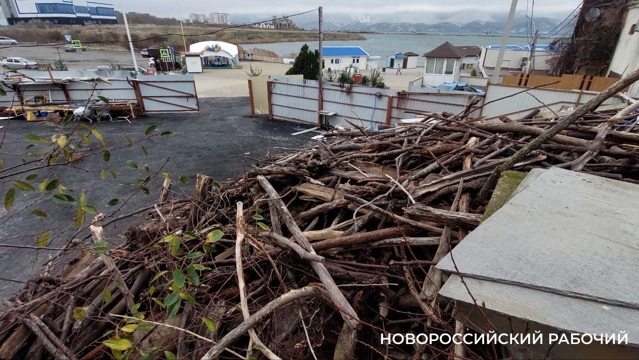 В Новороссийске после «шторма века» раздают топляк на дрова всем желающим