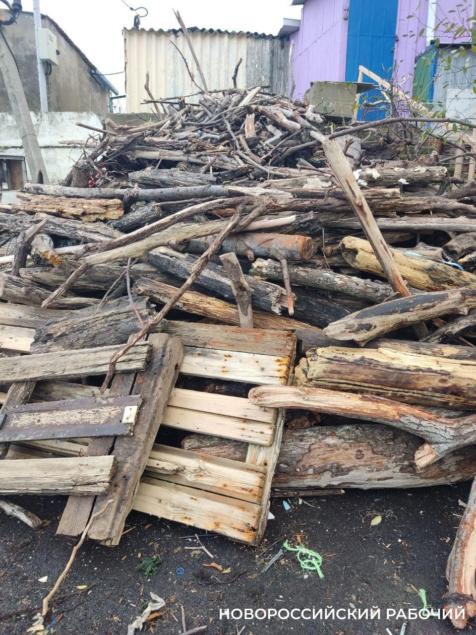 В Новороссийске горожан пригласили на берег моря… запасаться дровами