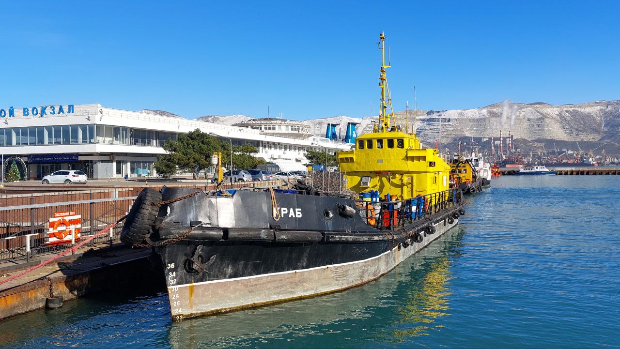 Советы дня на 19 августа: об обороне Новороссийска, китайской медицине и превращении в бабочку