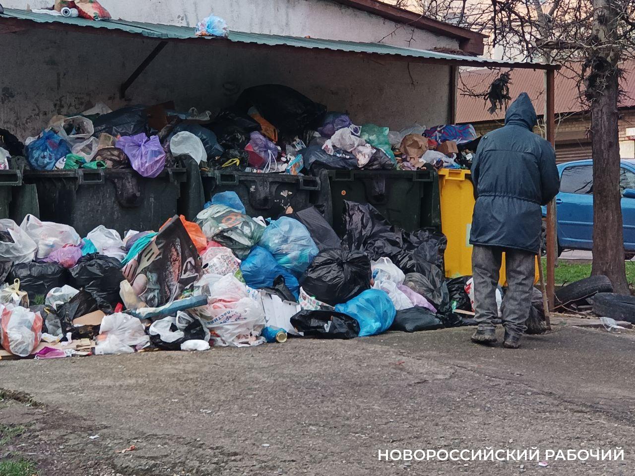 В Новороссийске даже дворники в шоке от завалов на мусорках