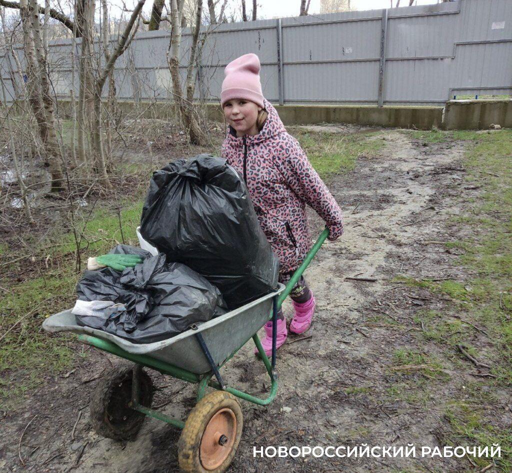 В Новороссийске активисты в Пионерской роще обнаружили много мусора и спиленное дерево