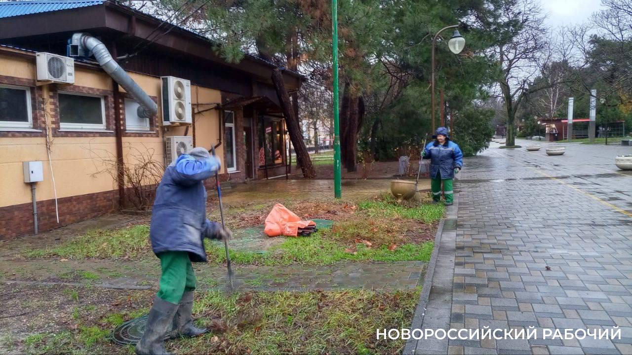 С улиц Новороссийска убирают осеннюю листву и покрышки