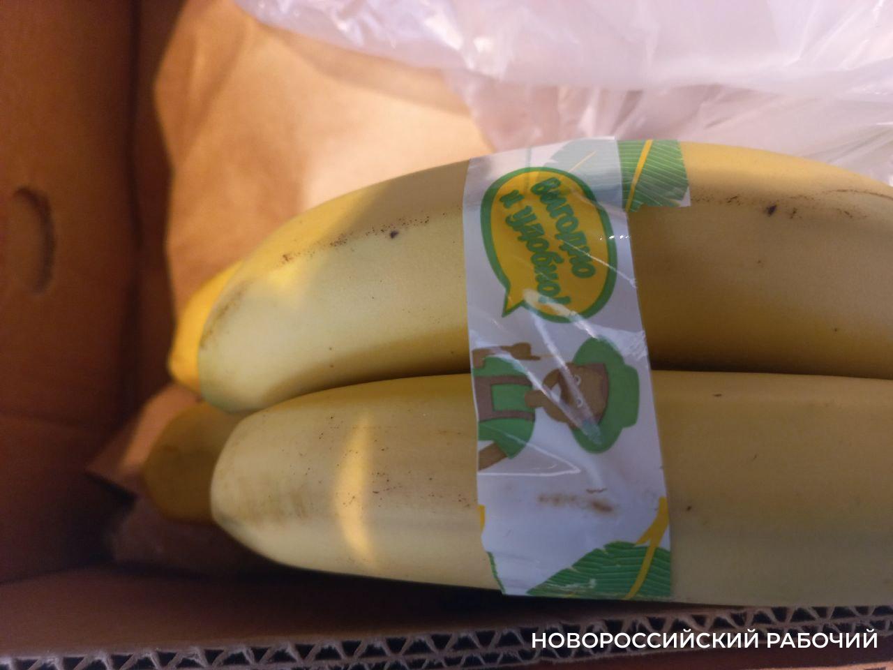 В Новороссийск доставили первые бананы из Индии