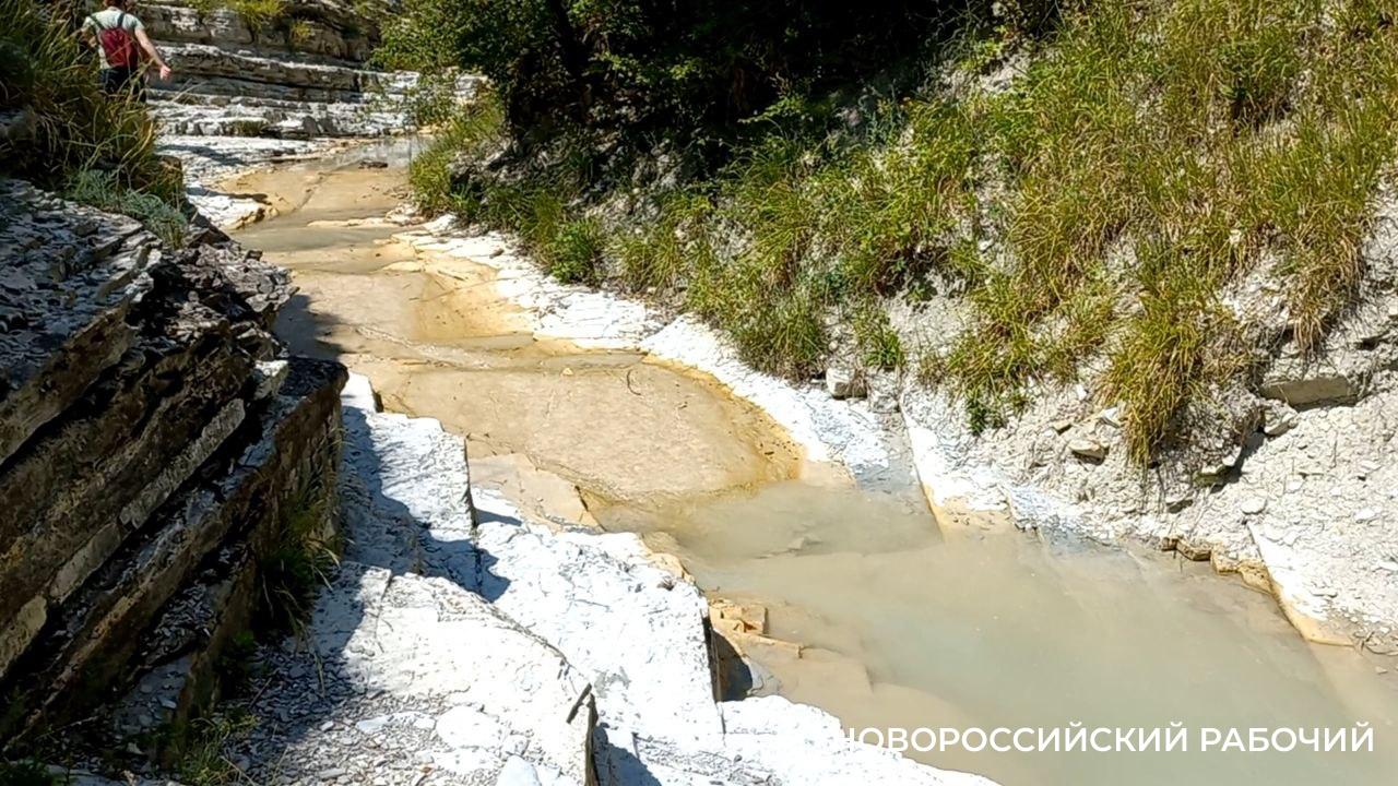 В Новороссийске при строительстве завода хотят использовать горный ручей, где водятся цапли и дикие пионы