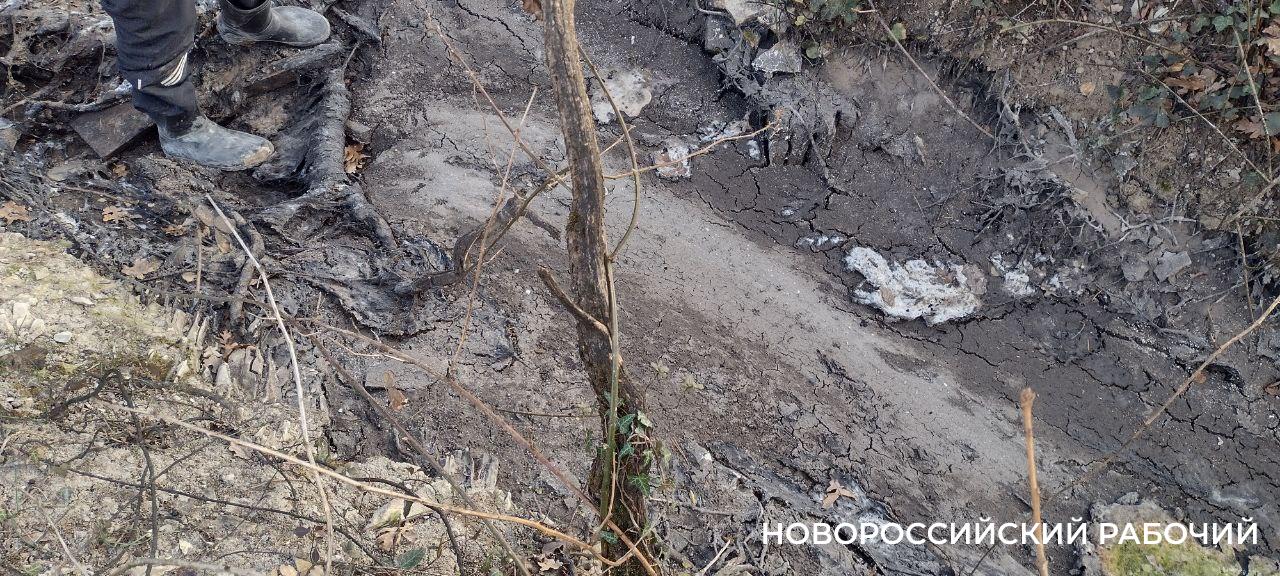 Речка-вонючка, которая полвека текла под Новороссийском, перестала сбрасывать нечистоты в Чёрное море