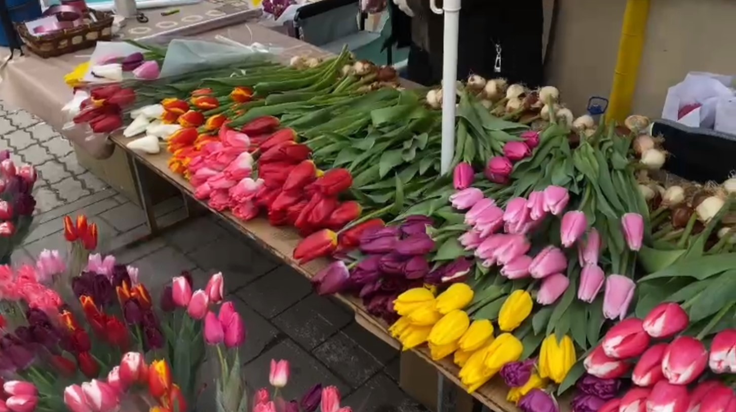 Сегодня в Новороссийске самый цветочный день в году