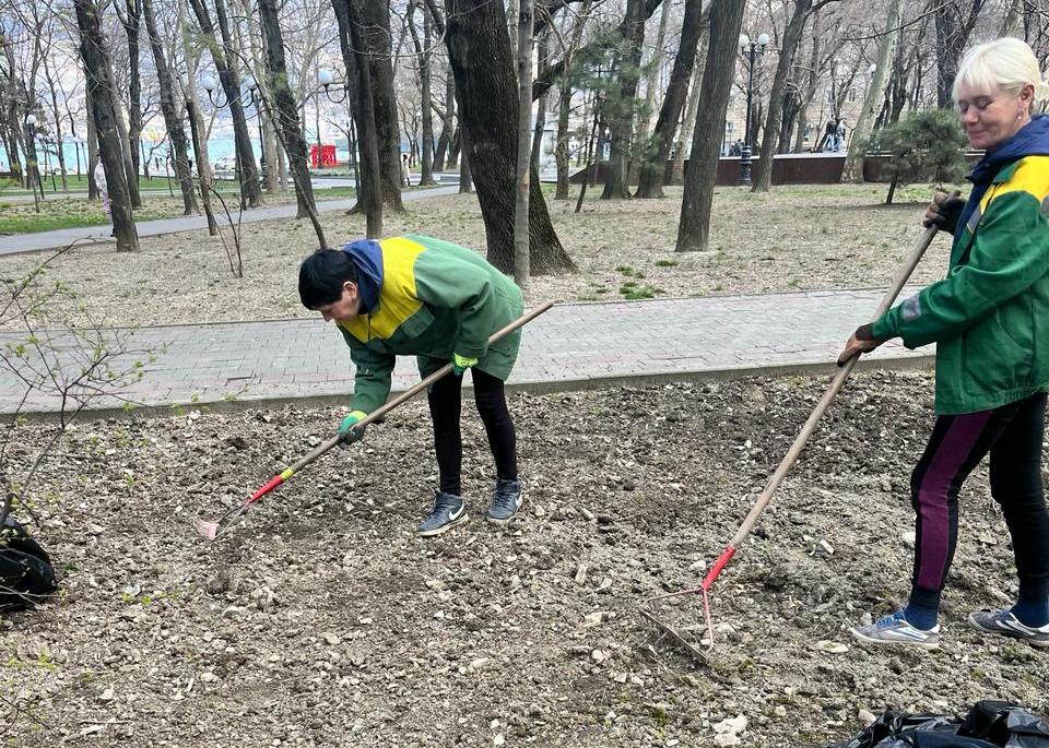 В Новороссийске отремонтируют газон на Площади Героев