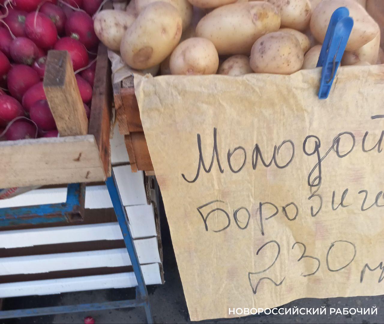 На рынках Новороссийска появилась клубника и молодая картошка – дорого!