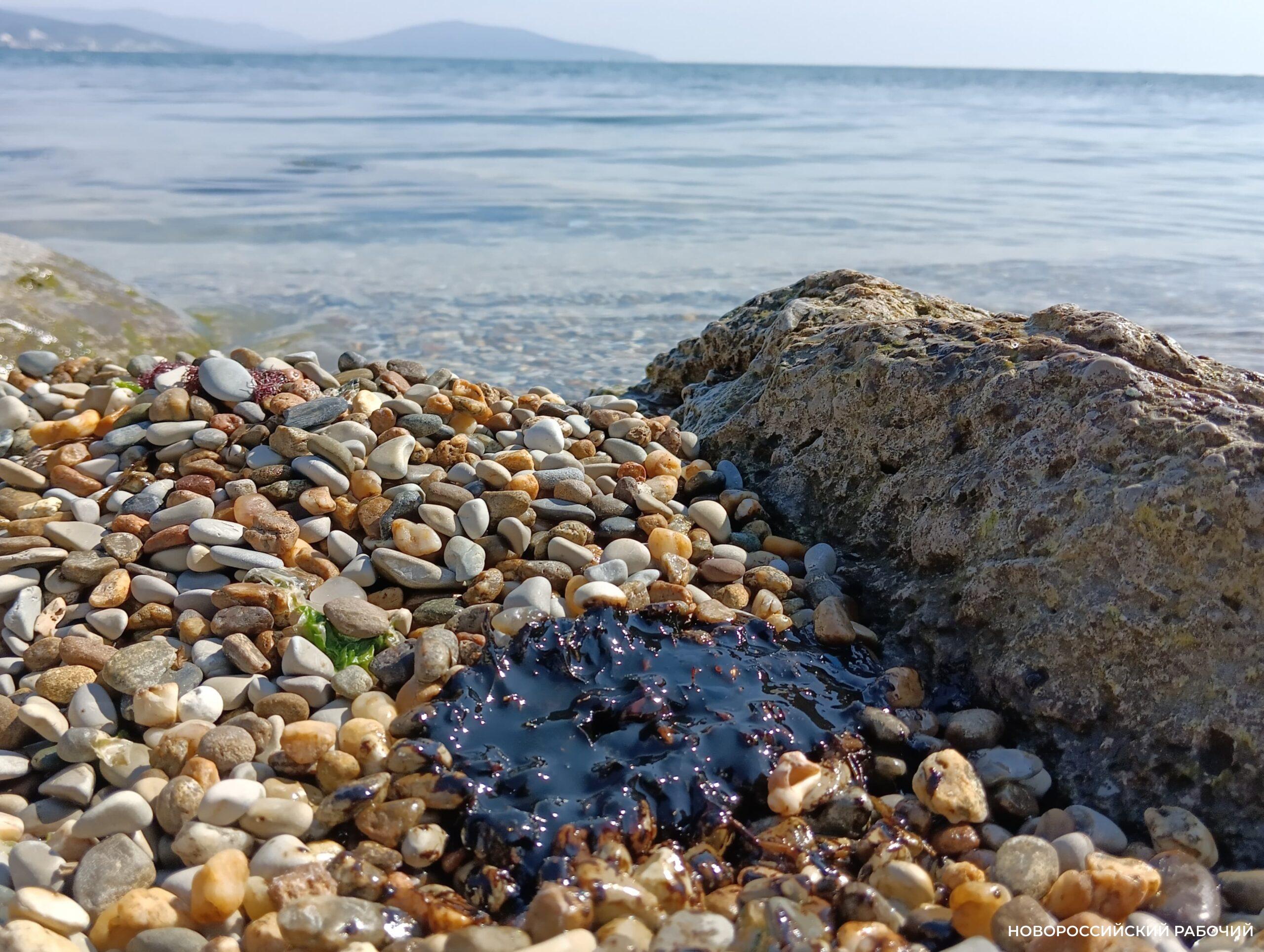 Новороссийцы сообщают новые адреса загрязнения берега моря нефтепродуктами