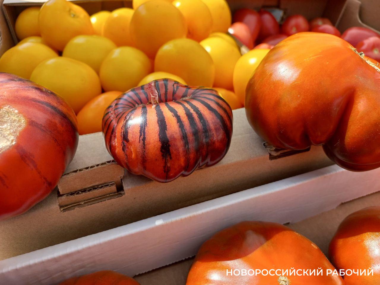 В Новороссийске в продаже появились помидоры в полосочку