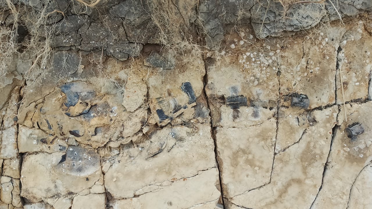 Вычисление значения выражения. Вычислите 20 3 18. Вычислите: 1,54 0,5 1,3. Вычислите 12,5 - (-1 2/5) *2. Вычислите 4 - 21/ 4.