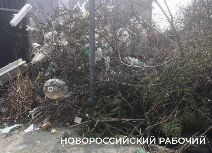 «Никогда не видела, чтобы кто-то здесь убирался!» Жители Новороссийска просят навести порядок на улице, по которой им стыдно ходить