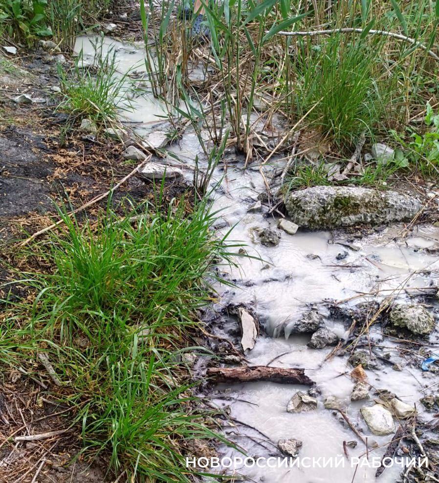 В Суджукскую лагуну Новороссийска течет мутная вода – в загрязнении подозревают строителей