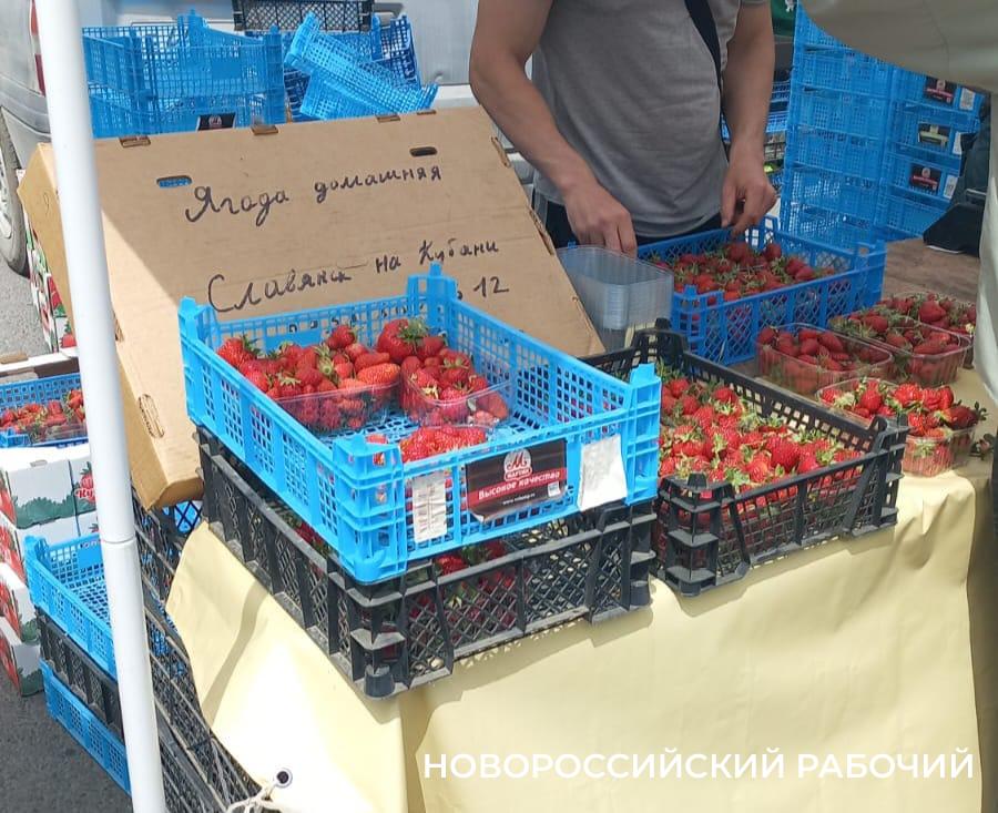 «На пробу» улетает 1,5 килограмма клубники!» – жалуются торговцы на рынках Новороссийска