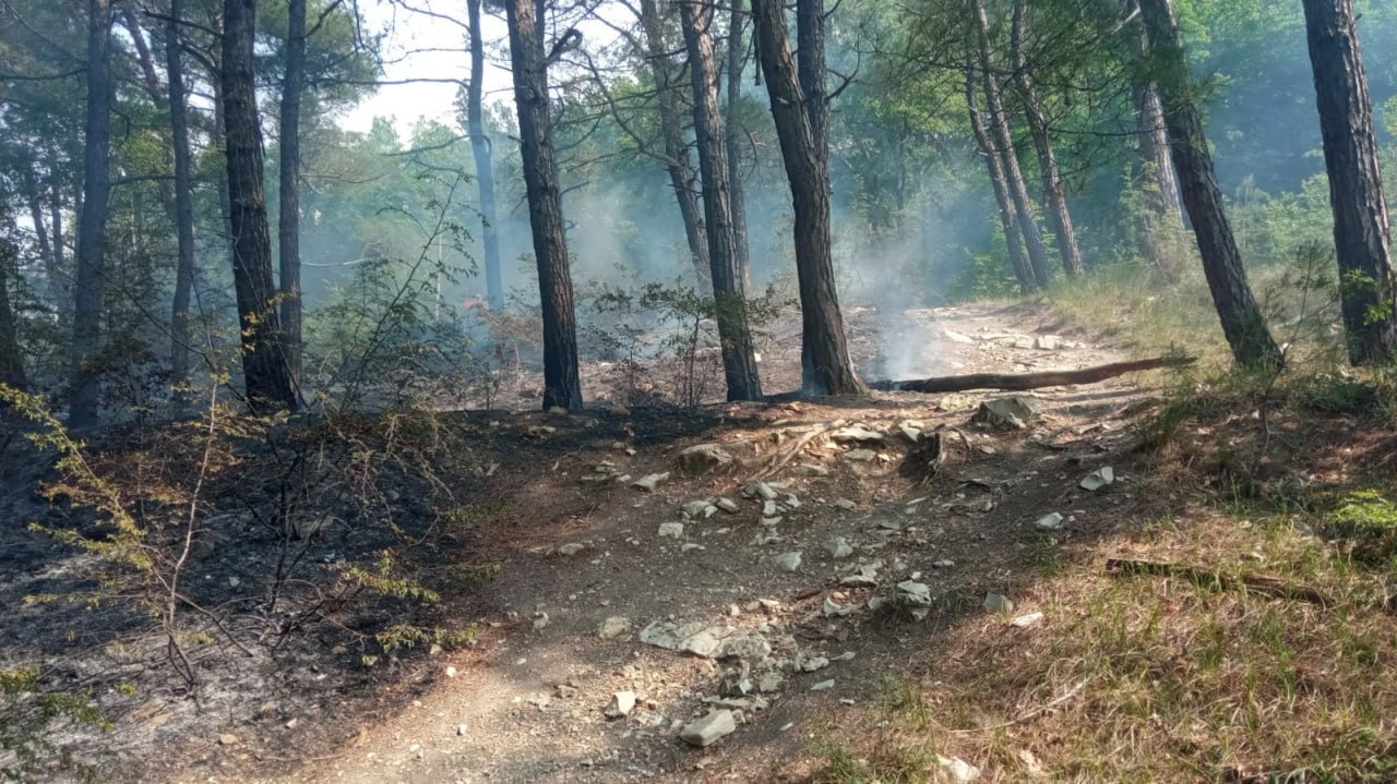 В районе Геленджика тушат два лесных пожара. В Новороссийске — пожароопасность 4 класса